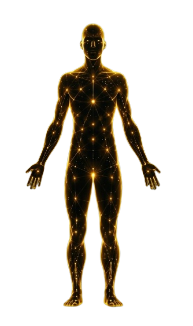 Human Body Energetic System
